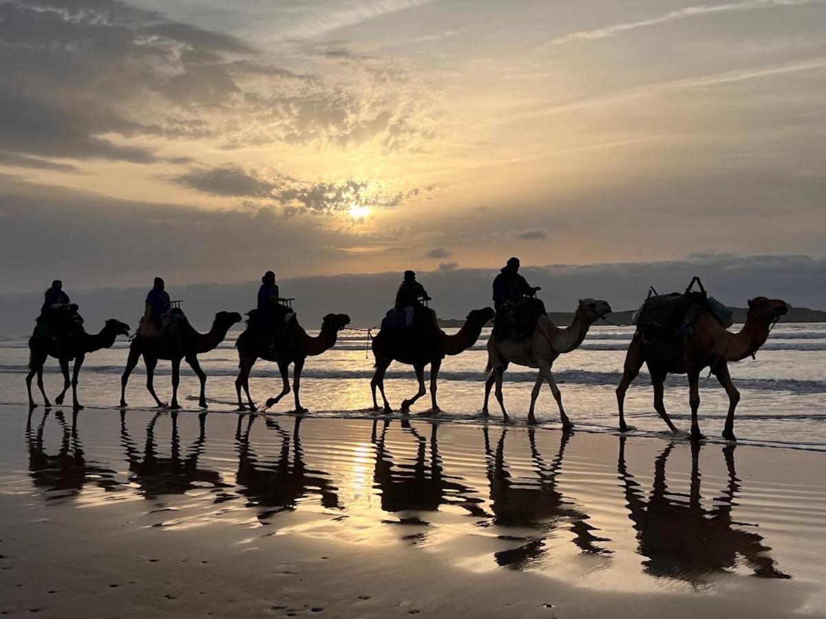 Surf Housemaroc Vandrarhem Essaouira Exteriör bild