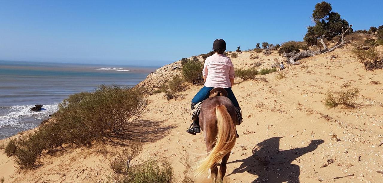 Surf Housemaroc Vandrarhem Essaouira Exteriör bild
