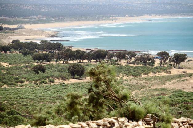 Surf Housemaroc Vandrarhem Essaouira Exteriör bild